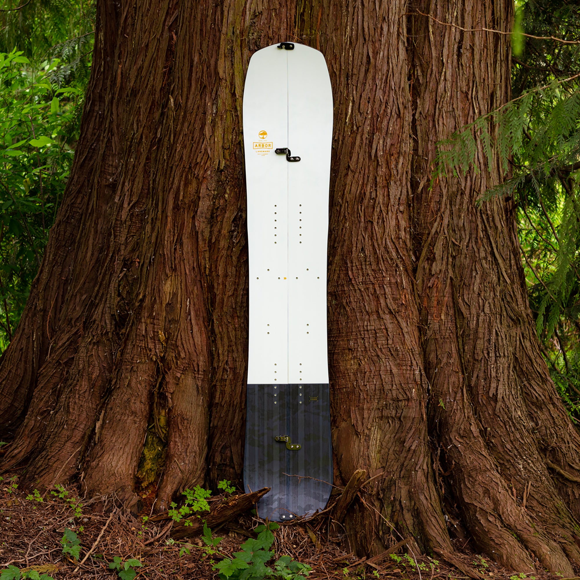 Splitboards – arborcollective.eu